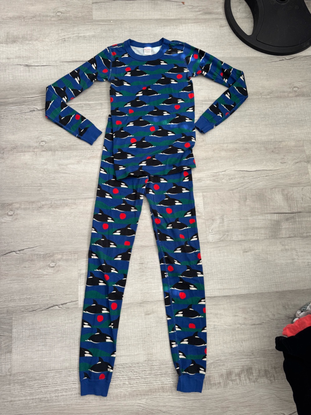 Hanna Andersson Orcas Long Sleeve Pajama Set